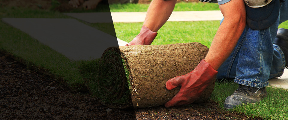 Huachuca City Landscapers